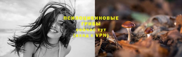ПСИЛОЦИБИНОВЫЕ ГРИБЫ Балахна
