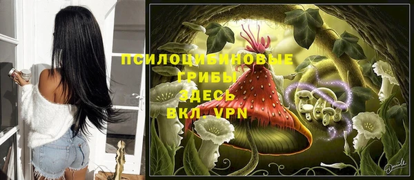 стафф Баксан