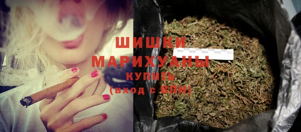 ПСИЛОЦИБИНОВЫЕ ГРИБЫ Балахна