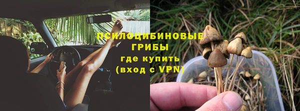 соль ск Балабаново