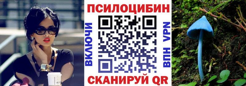 Галлюциногенные грибы прущие грибы  Кунгур 